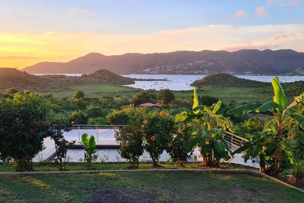 Bas De Villa Piscine Petit Versailles Sainte Anne Luaran gambar
